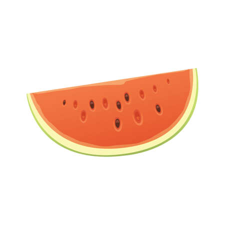 Fresh and juicy red watermelon and slices. Eat tropical fruits watermelonsのイラスト素材