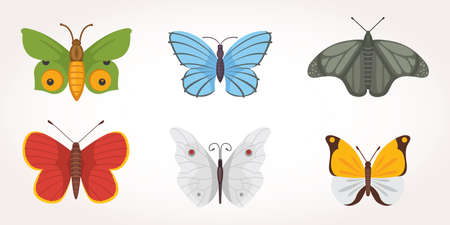 set of colorful Butterfly Vector Design Illustration. summer insectのイラスト素材