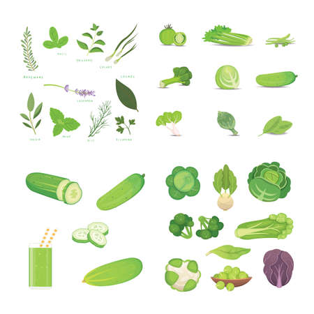 Green vegetables and herbes. Vegeterian Fresh food vector cartoon illustrationsのイラスト素材