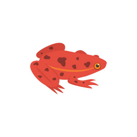 Red Frog Cartoon Vector Illustration isolated. tropical animal.のイラスト素材