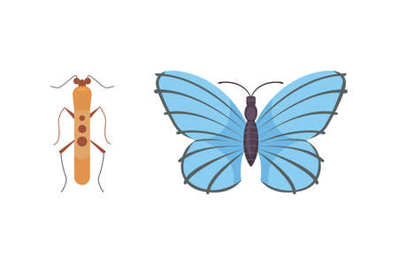 Set of different insects in cartoon style. Butterfly and beetle collection.のイラスト素材