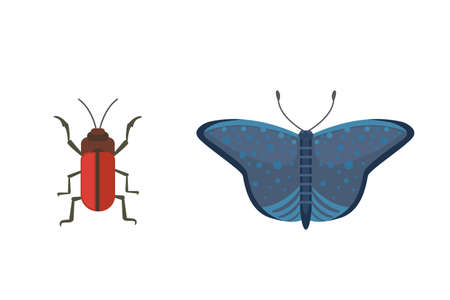 Set of different insects in cartoon style. Butterfly and beetle collection.のイラスト素材