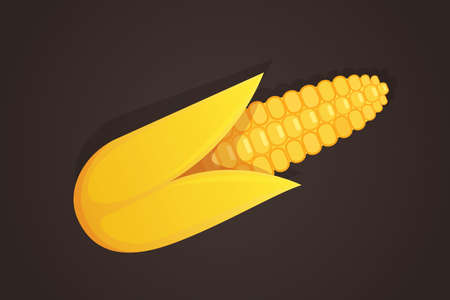 Sweet golden corn icon. Outumn farm food designのイラスト素材