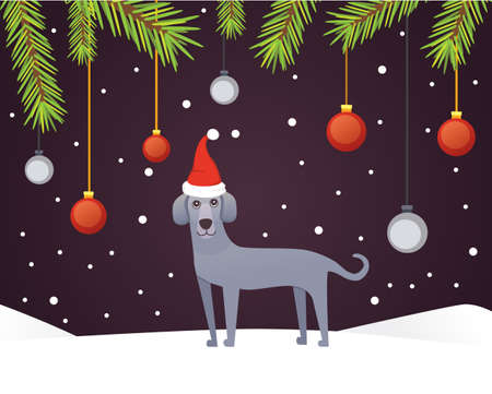 Christmas banner template with dog, balls, ribbons and decoration. New year tree branches background.のイラスト素材