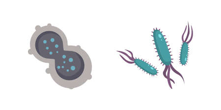 Set colorful viruses vector illustration. Bacteria and micro-organisms in cartoon style.の写真素材