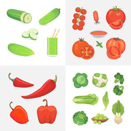 Organic farm vegan food illustration. Healthy lifestyle vector design elements. Vector vegetables: tomato, cucumber, pepper and cabbge set icons in cartoon styleの写真素材
