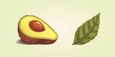 Set realistic fresh avocado fruit. Slice and whole avocados. Vegan food vector illustration in cartoon styleの写真素材