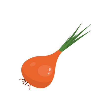 Whole onion ripe. Spring onions vegetable vector in cartoon styleのイラスト素材