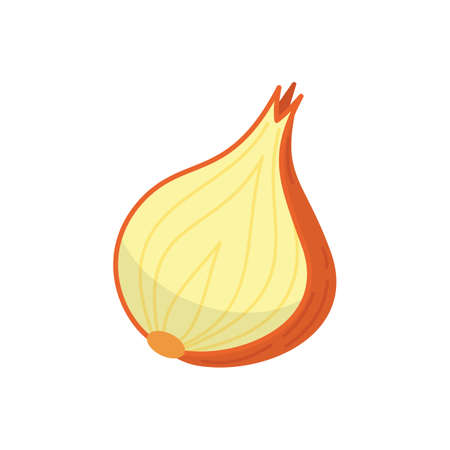 Half, slice and whole onion ripe. Yellow, red and spring onions vegetable vector set in cartoon styleのイラスト素材