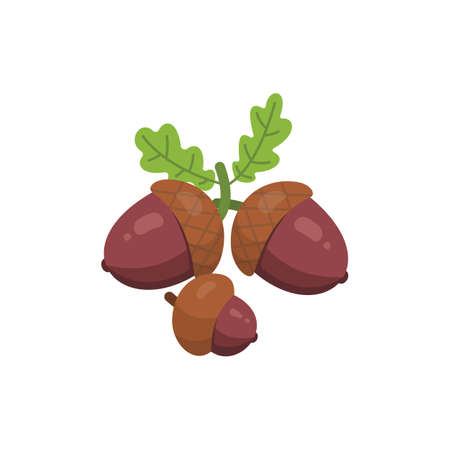 Acorn vector icon nuts in cartoon style. Nut food collection.のイラスト素材