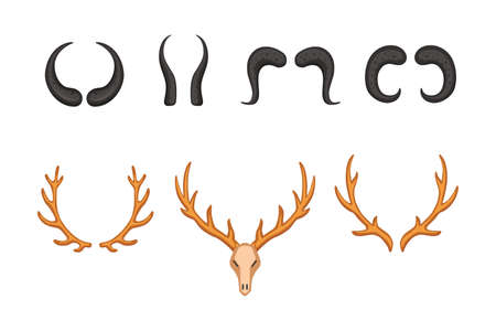 Different vector horns, thorny hunting trophy illustration in cartoon styleのイラスト素材