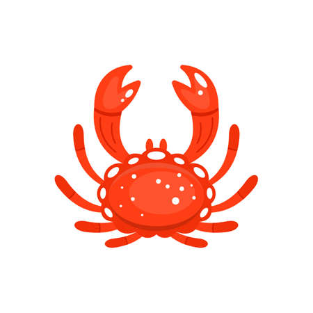 Decorative red crab vector illustration isolated on white. Marine animal.のイラスト素材