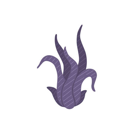 Vector seaweed icon isolated on whire. Sea underwater marine plant.のイラスト素材