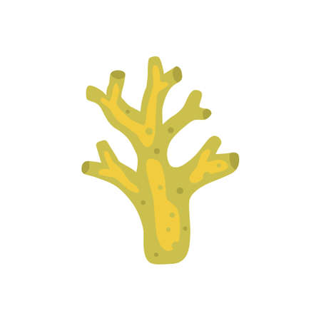 Vector seaweed icon isolated on whire. Sea underwater marine plant.