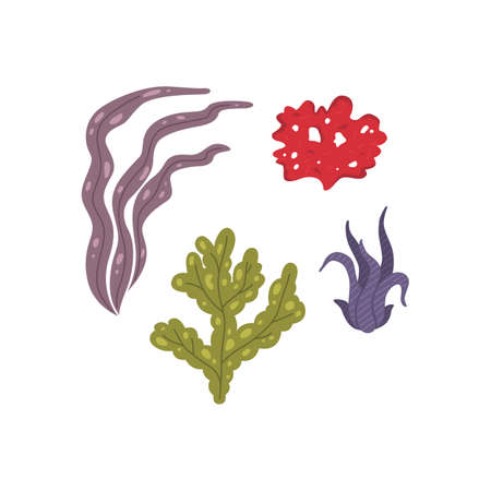 Vector seaweed icons isolated on white. Sea coral and underwater marine plants.