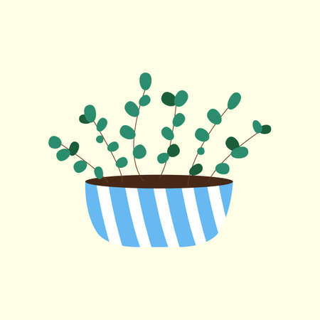 Cactus and succulent plant growing in pots. Vector Cacti and succulents collection of house plants.のイラスト素材