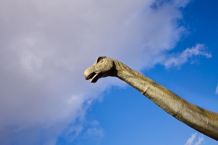 Long Neck and Head of a Prehistoric animalの写真素材