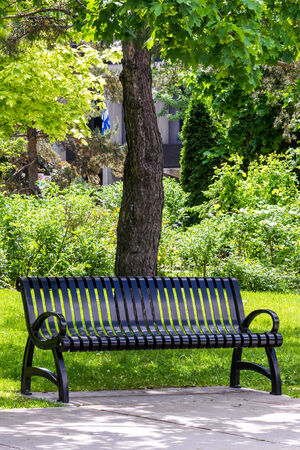 Park bench in black metal, with trees, leaves, flag, and grassの写真素材