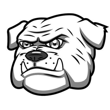 Illustration of the angry aggressive bulldog headのイラスト素材