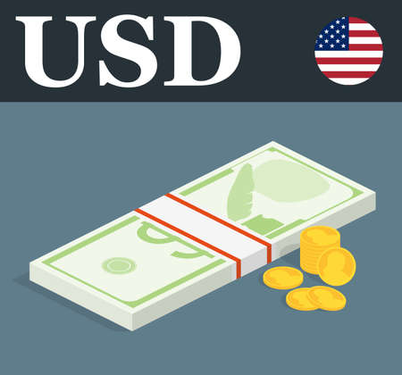 Abstract USD banknotes and coins. Isometric styleのイラスト素材