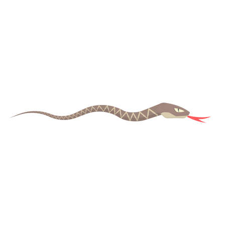 Snake. Animal snake, vector illustration