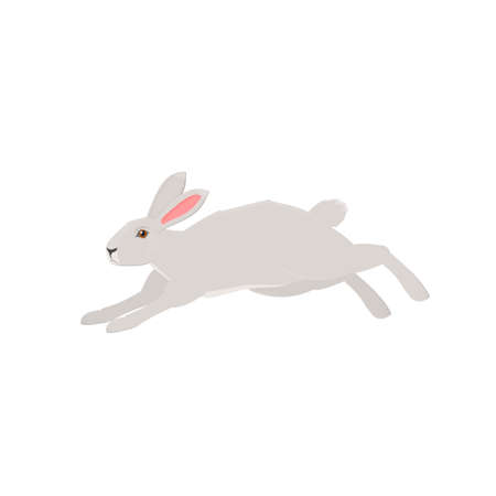 Hare. Running animal hare, vector illustrationのイラスト素材