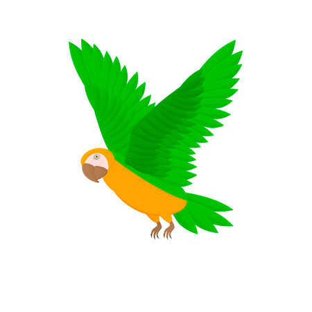 Parrot. Parrot bird, vector illustrationのイラスト素材