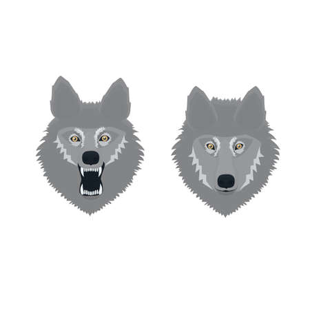 Wolf grin. Animal lupus, vector illustrationのイラスト素材