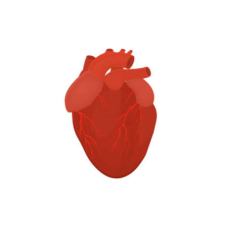 Human heart. Heartbeat, vector illustrationのイラスト素材