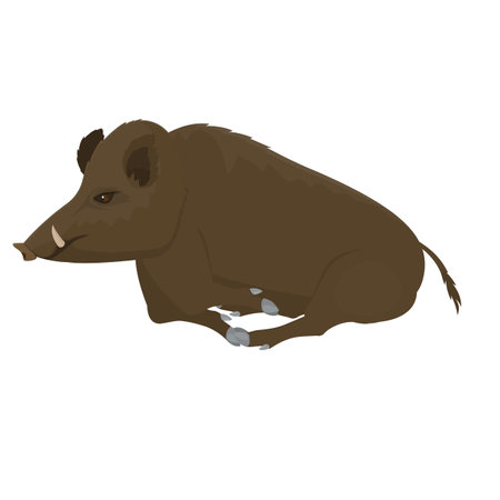 wild bore. Wild pig, vector illustrationのイラスト素材