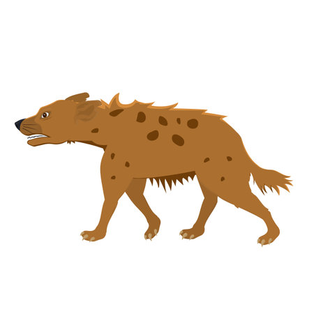 Hyena. Animal hyena, vector illustrationのイラスト素材