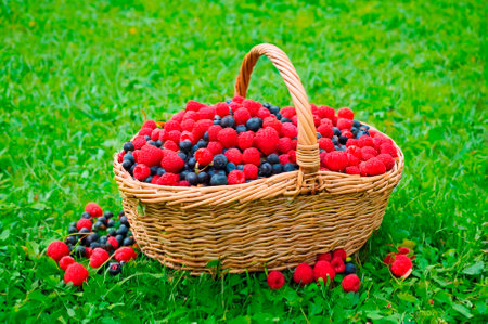 Berries in the basket.の写真素材