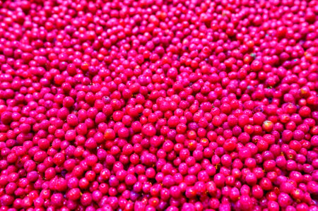 A berry, made up of many particles.