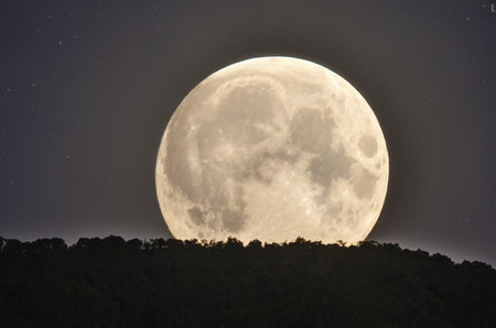 Full Moon Rising Over Forest Silhouette at Night. Generative AI.の写真素材