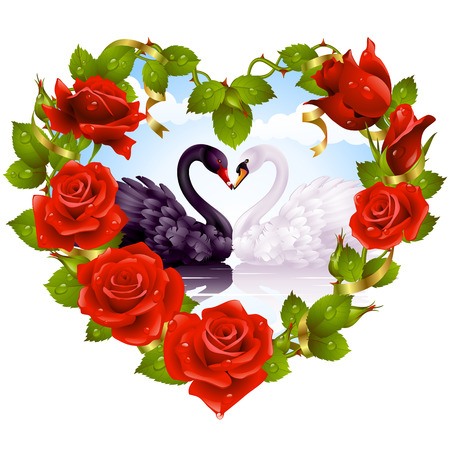 Red Rose frame in the shape of heart and couple swansのイラスト素材