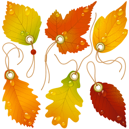 Autumnal discountのイラスト素材