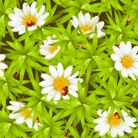 Vector seamless background: camomiles and ladybugsのイラスト素材