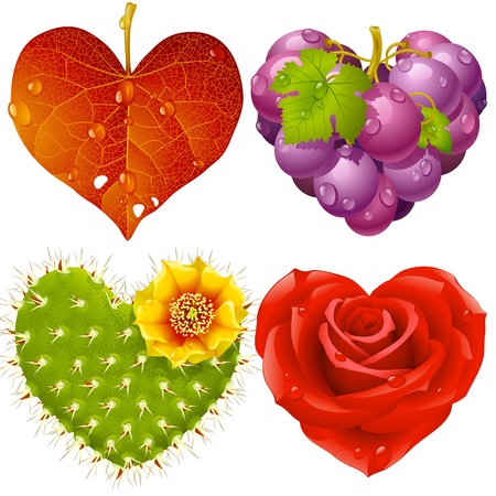 Shape of heart set 3. Fall leaf, grapes, cactus and roseのイラスト素材