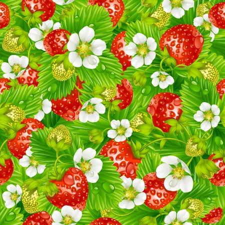 Vector strawberry seamless backgroundのイラスト素材