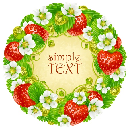 Vector strawberry circle frame. Red berry and white flowerのイラスト素材