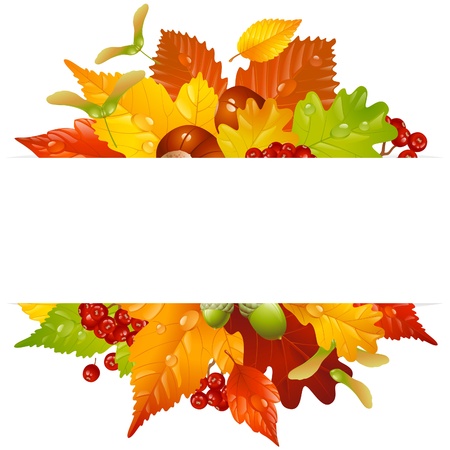 autumn frame with fall leaf, chestnut, acorn and ashberryのイラスト素材