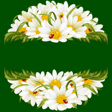 Vector circle frame with chamomile and ladybugsのイラスト素材