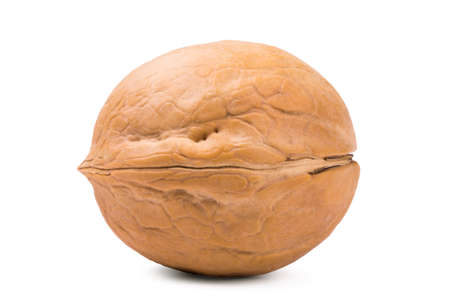 One walnut isolated on a white background.