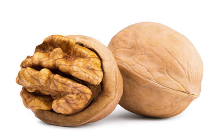 Ripe walnut and half of the nut isolated on a white background.の写真素材