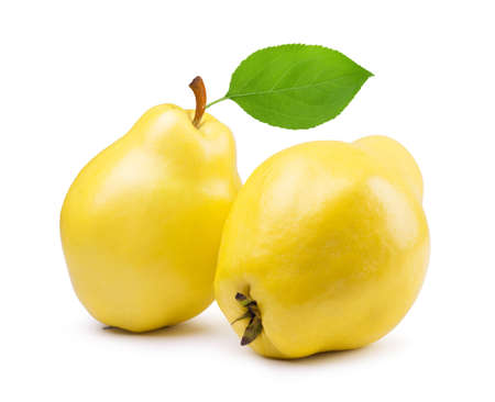 Ripe quince fruit isolated on a white background. Fresh fruits.の写真素材