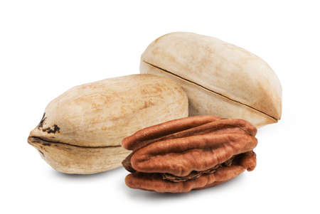isolated nuts. Ripe pecan isolated on white background.