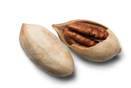 isolated nuts. Ripe pecan isolated on white background.
