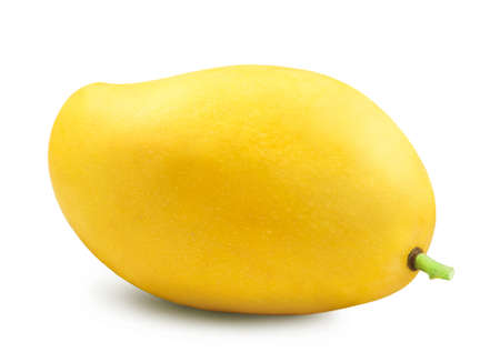 Mango isolated. One ripe sweet yellow mango on a white background.の写真素材