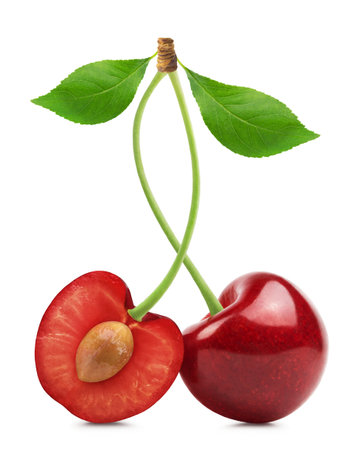 Cherry isolated. Ripe sweet cherry and half cherry with green leaves on a white background.の写真素材