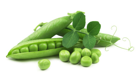 Peas isolated. Fresh green peas and pea kernels with leaves on a white background.の写真素材